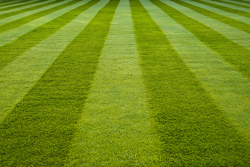 That’s why we mow the grass