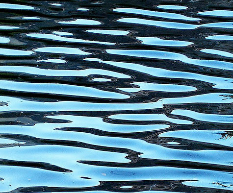 The ripple effect of company culture